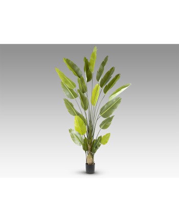 AVE PARAISO- PLANTA ARTIFICIAL H250